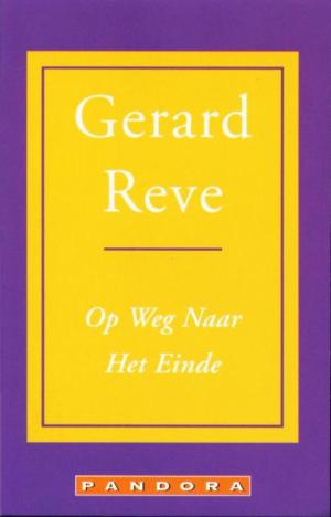 Gerard Reve - op weg naar het einde